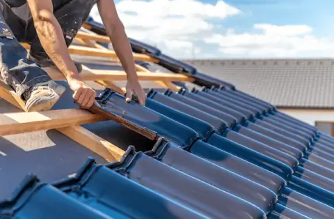 Couverture - Chamelet